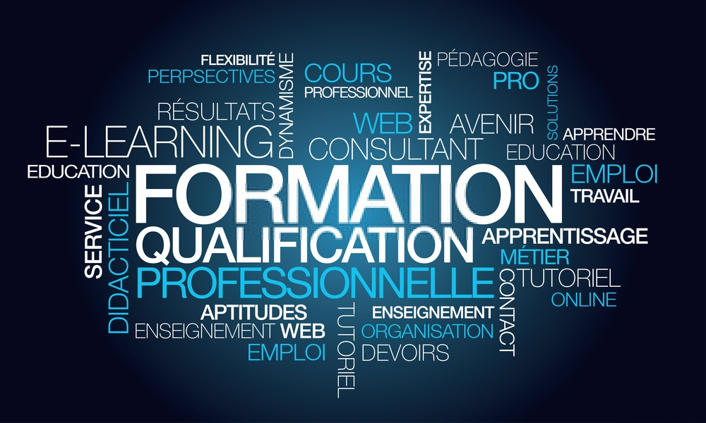 Formation et coaching entrepreneurial